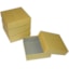 BioPharm World 2in Oversized Cardboard Freezer Box