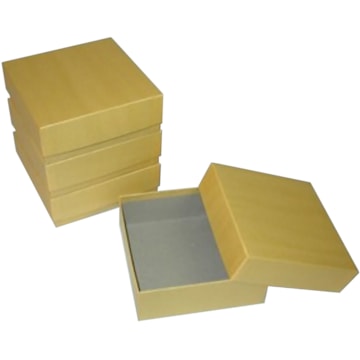 BioPharm World Oversized Cardboard Freezer Box