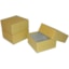 BioPharm World 3in Oversized Cardboard Freezer Box
