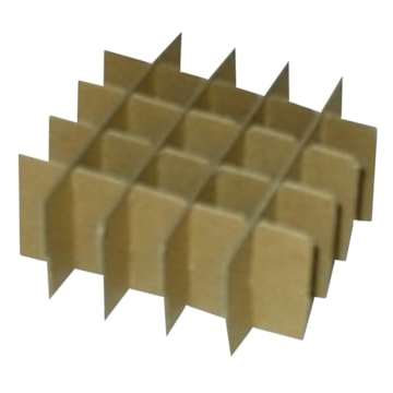 BioPharm World Cardboard Divider