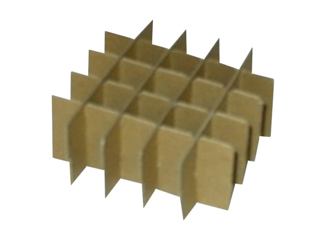 BioPharm World Cardboard Divider